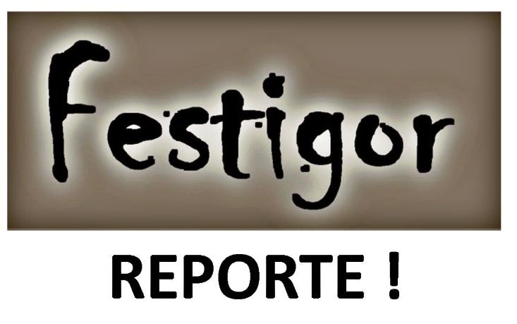 Festigor reporte.jpg